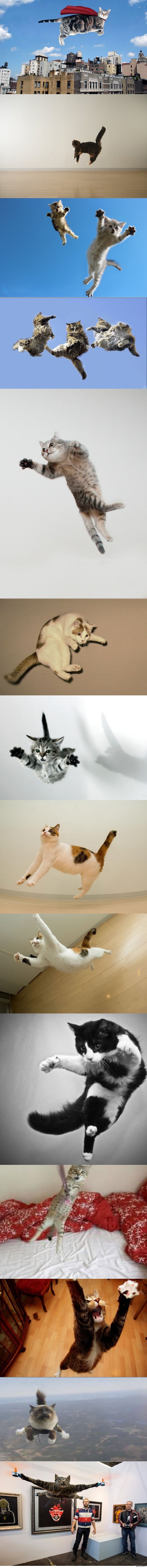 � ��� ������� ������...