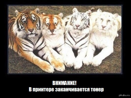 Краска закончилась