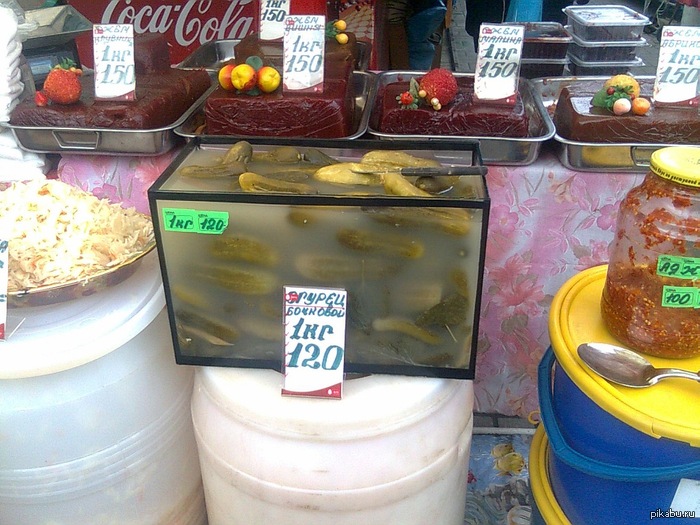 Огурцы аквариумные.