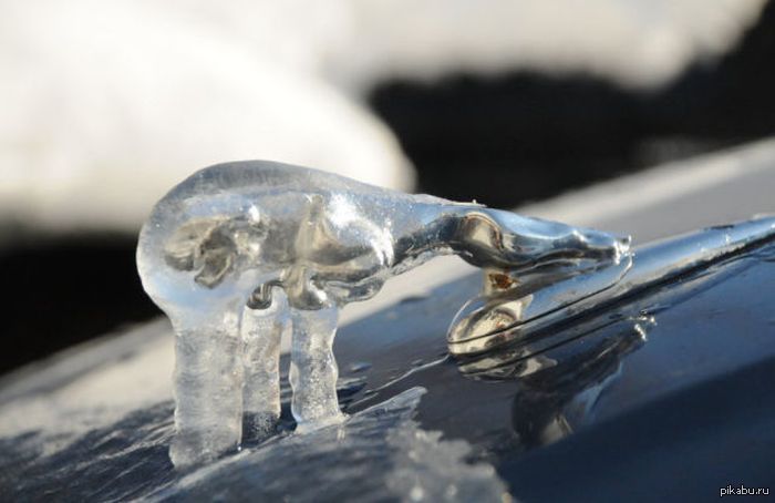 jaguar in ice - Jaguar, , Jaguar, Ice