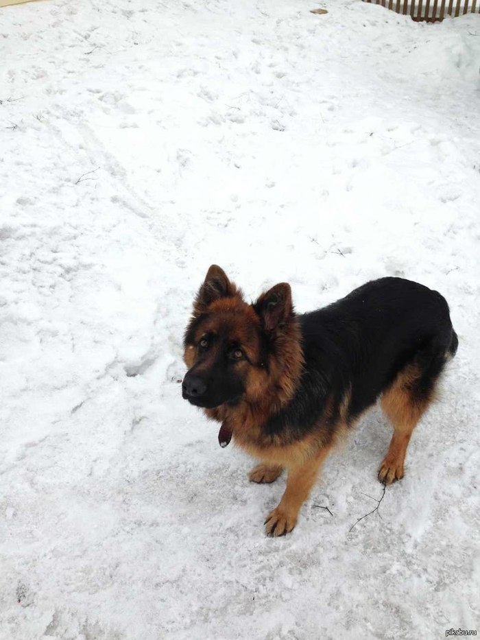 � ���� ����, � � ���� ���!