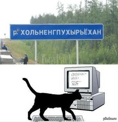 About weird names... - Cities, Name, Cat on keyboard, Keyboard, cat
