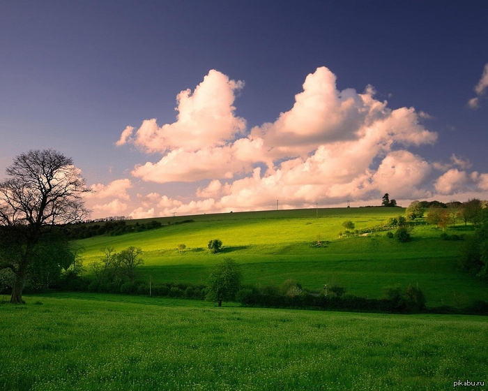 Пусть срач закончится!