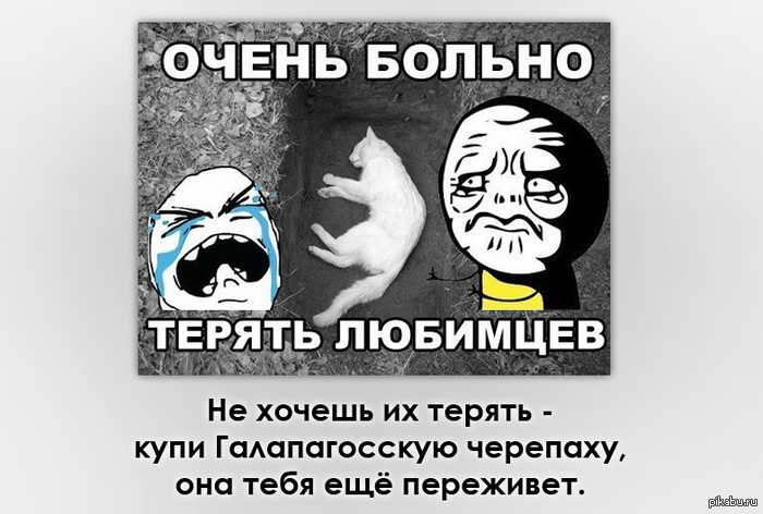 ����� ������ ������ �������� ��������?