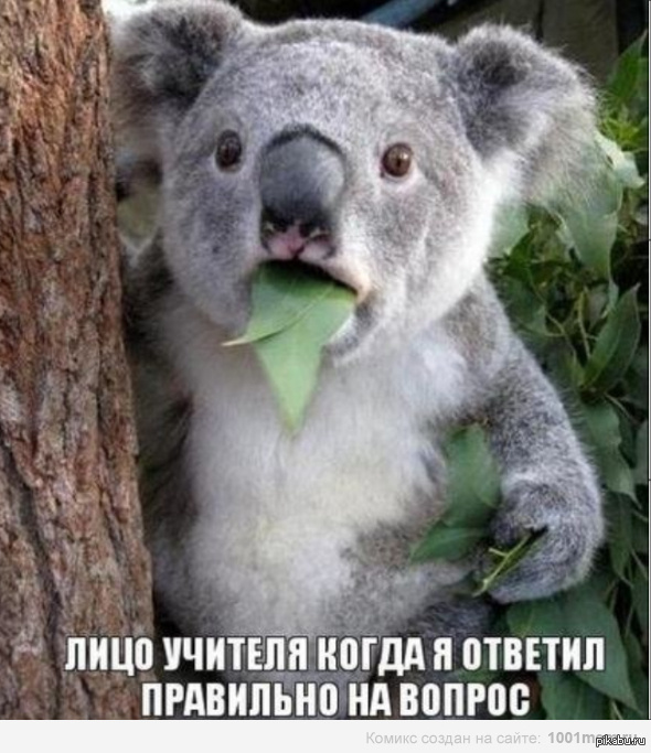 ���� ������� ����� � ������� ��������� �� ������