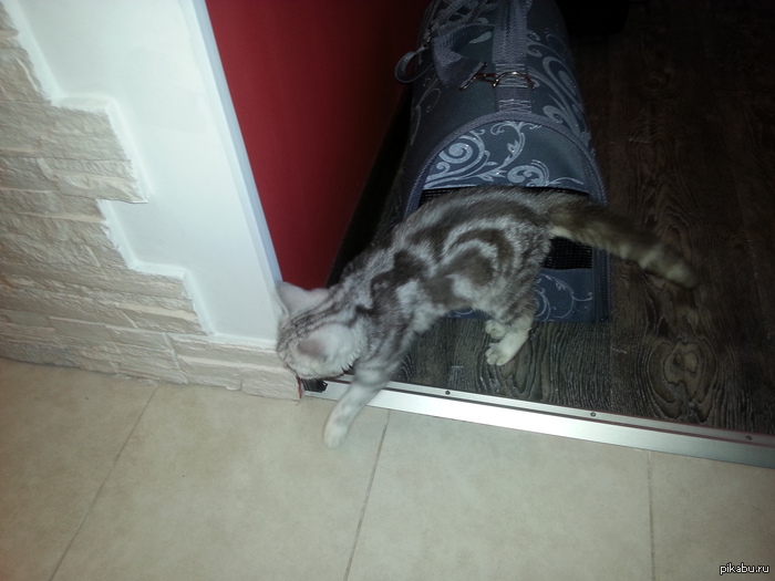 �������� ��������� ��� �������