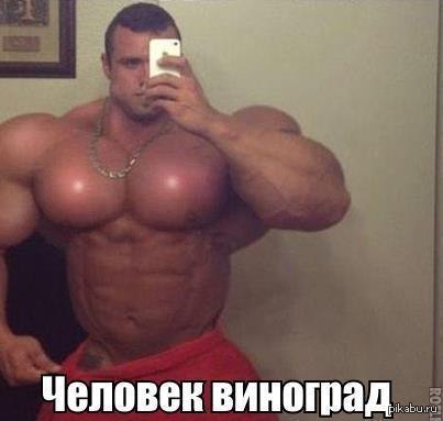 Synthol Fail