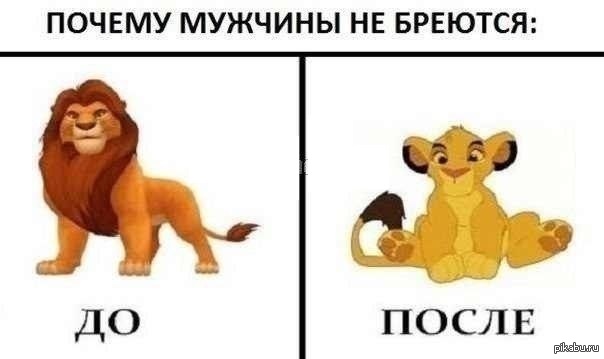 Почему мужчины не бреются