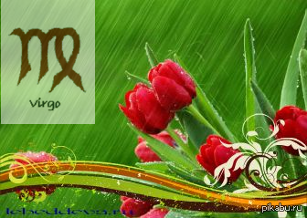 Ежедневный гороскоп для Девы на апрель 2013 года