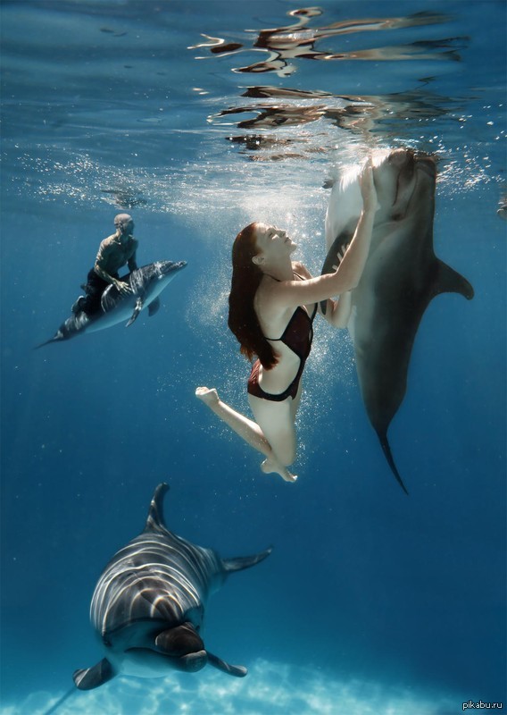 Дельфины уплывают в океан слушать. Дельфины в море. Девушка и Дельфин. Дельфин в море. Дельфин в воде.