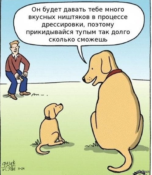 ��� ���� �����������