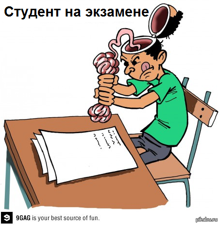 Сессия мемы