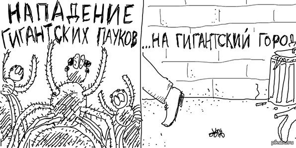 Гигантские пауки | Пикабу