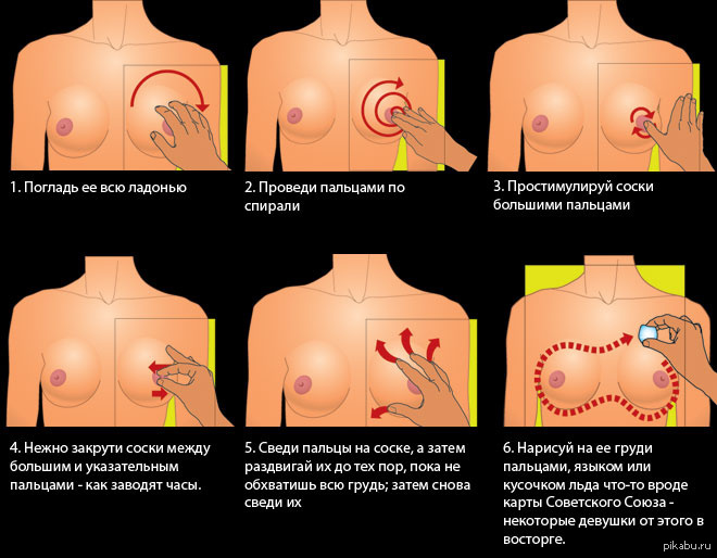 Как правильно трогать женскую грудь - 10 вариантов 