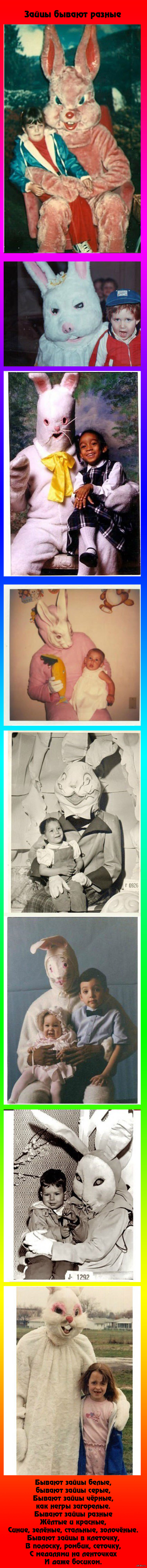 Ах, эти зайцы!!!