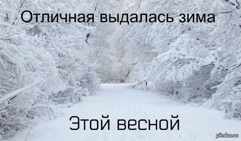 Зимы Не Будет Фото