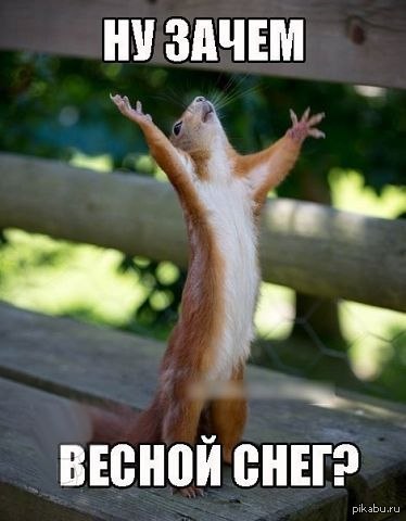 �����?! ������� ????