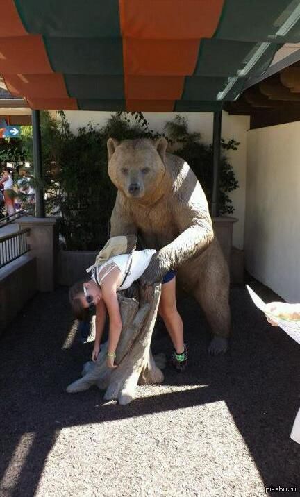 Caught in the act - NSFW, The Bears, Doggy style, Girl