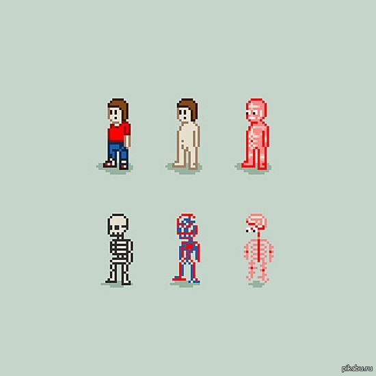 8 bit anatomy :) - NSFW, Creative, Interesting