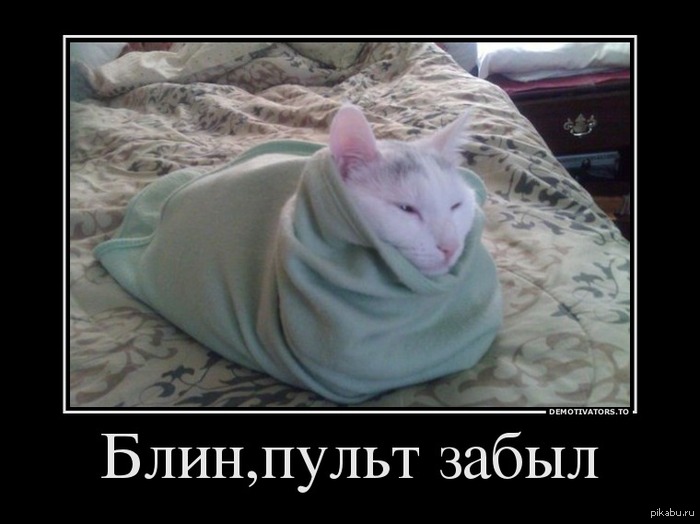 Знакомо? =)