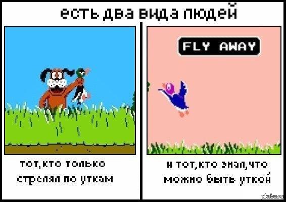 А вы знали? | Пикабу