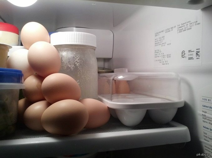 I asked my brother to put the eggs in the refrigerator. - NSFW, Eggs, Peekaboo