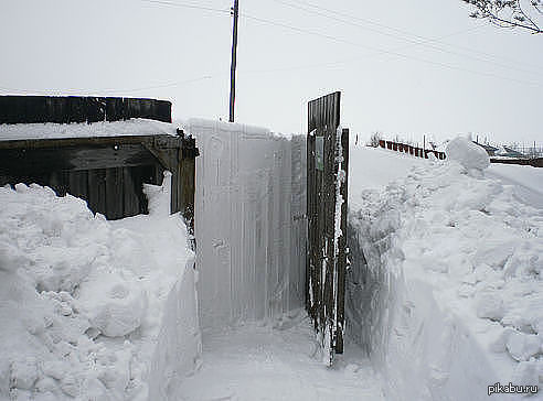 Откопала или откапала. Дверь завалило снегом. Ворота завалены снегом. Забор зимой. Забор из снега.