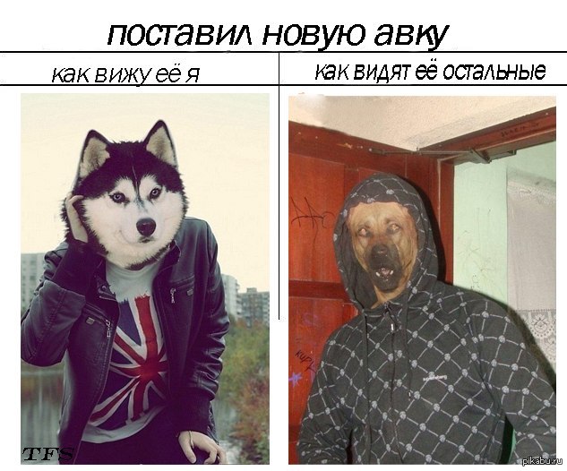 Новая автарка | Пикабу