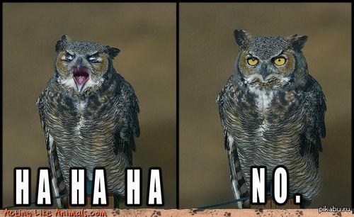 ����� ���� ������ � ���-������ ..)