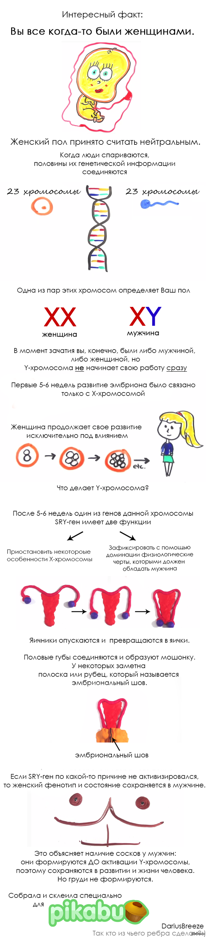 Интересный факт | Пикабу