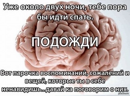 Опасно есть мозги. Шутки про мозг. Мозг шуточная. Смешные мозги. Мозг прикол.