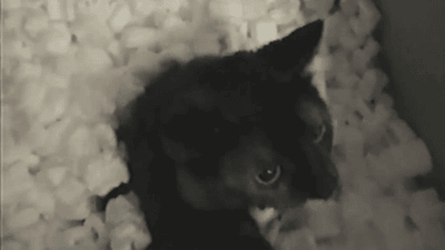 Ктотодоставка