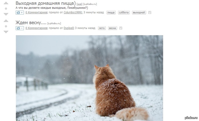 ������������ �������� �����))