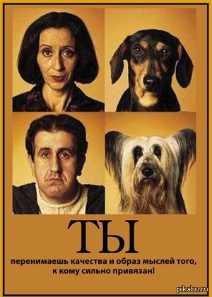 Кореш стример 2023. Вся правда про хозяев. Вся правда про хозяев. Интересные случаи с животными. Хозяева сквад стримеры.