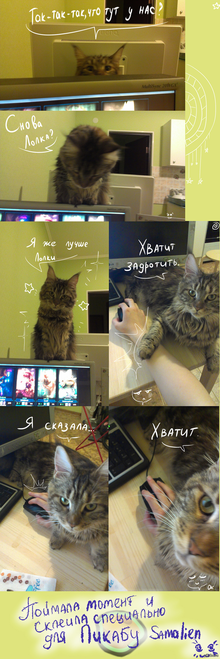   ! &gt;:3     ,   ^^ , - .)  * *