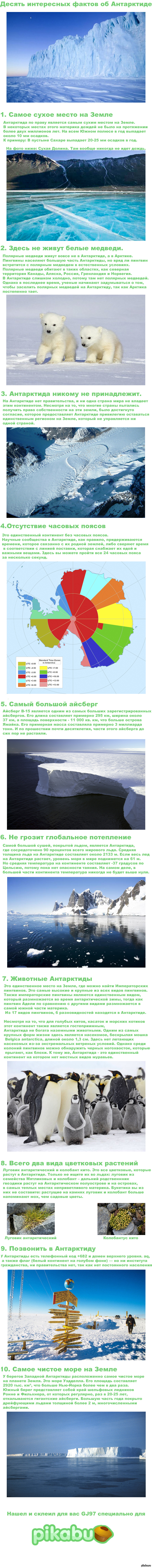 Антарктида: истории из жизни, советы, новости, юмор и картинки — Лучшее |  Пикабу