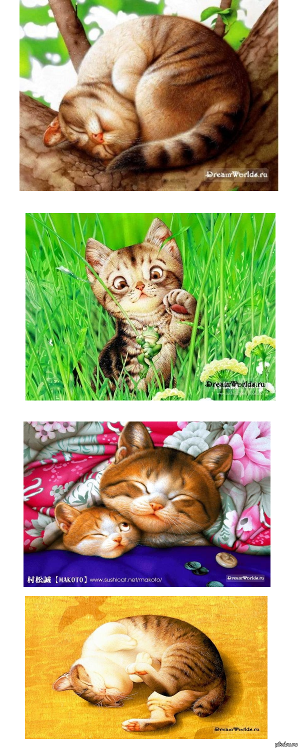 немного кисок для настроения))