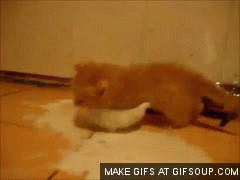 ������������� ������