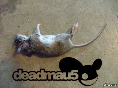 DeadMau5