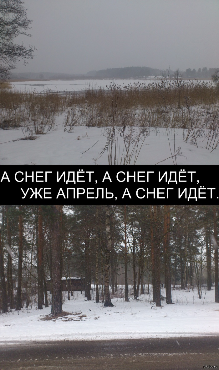 Шутка природы на 1-ое апреля...