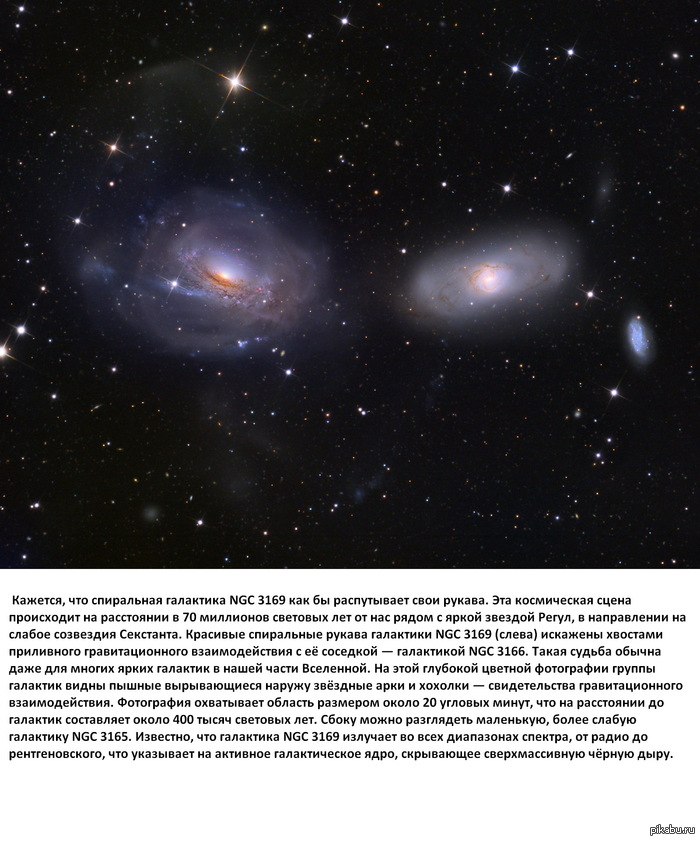   NGC 3169