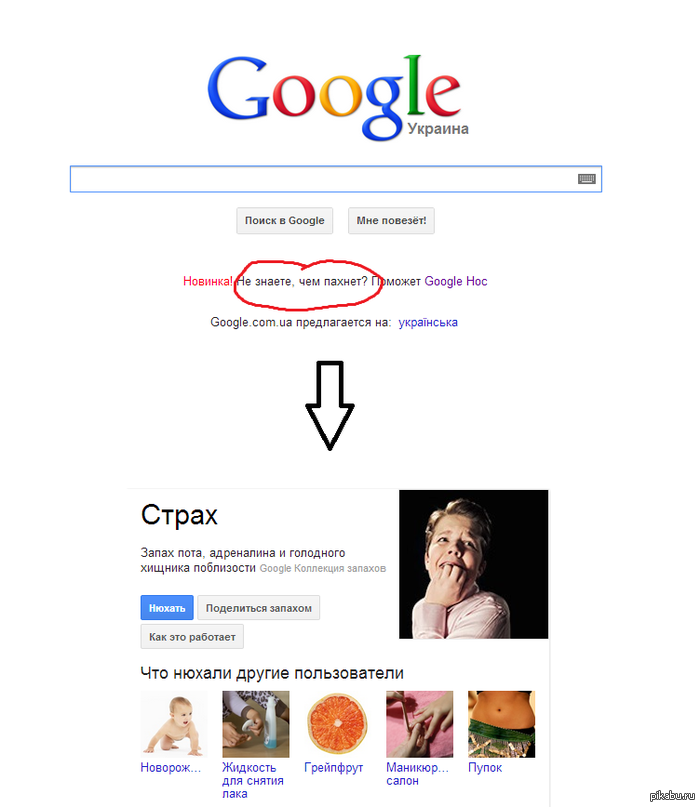 Google. ����. �������. OMG