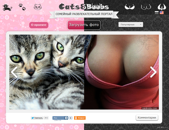          ,       ,    :3     ,    :D catsboobs.com