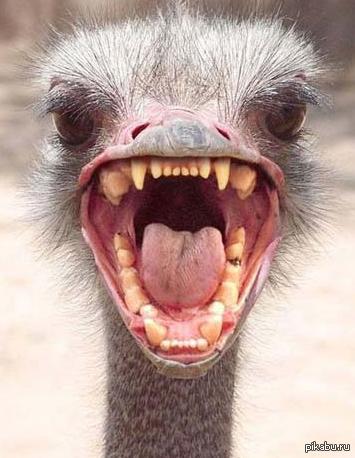 И тут я понял,что меня накрыло