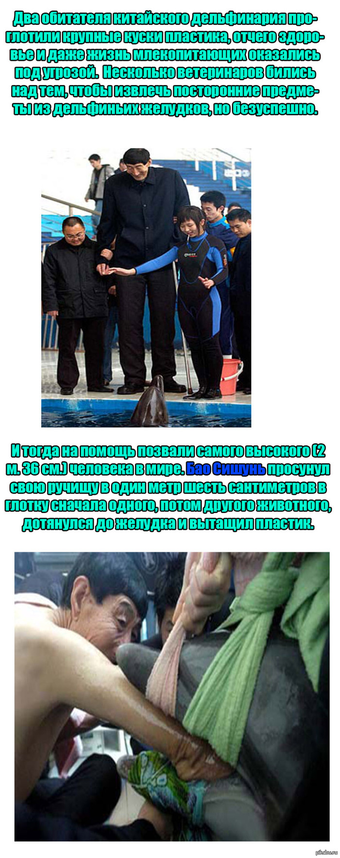 Самый высокий человек в мире спас дельфинов
