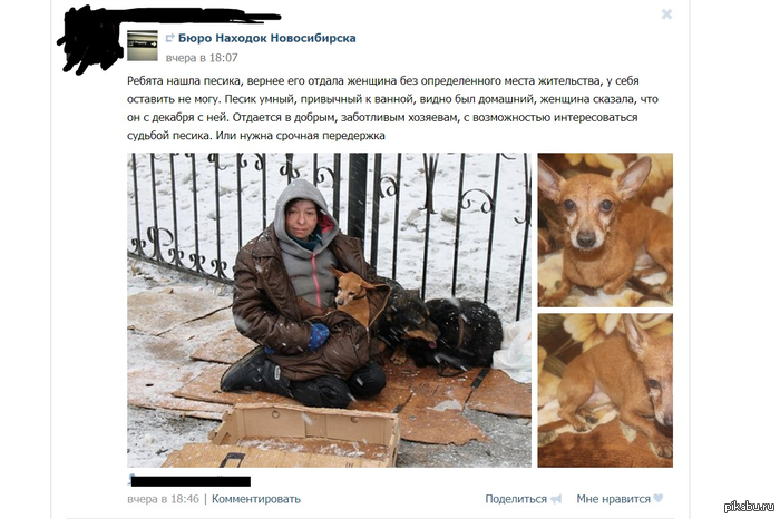 ������ ����������.