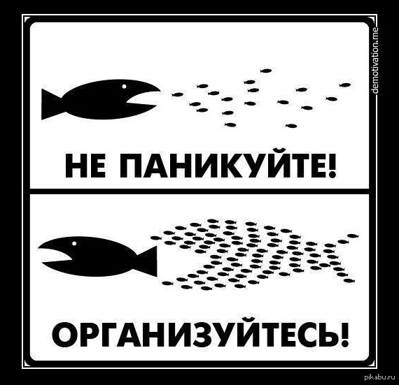 ���� �� �����...