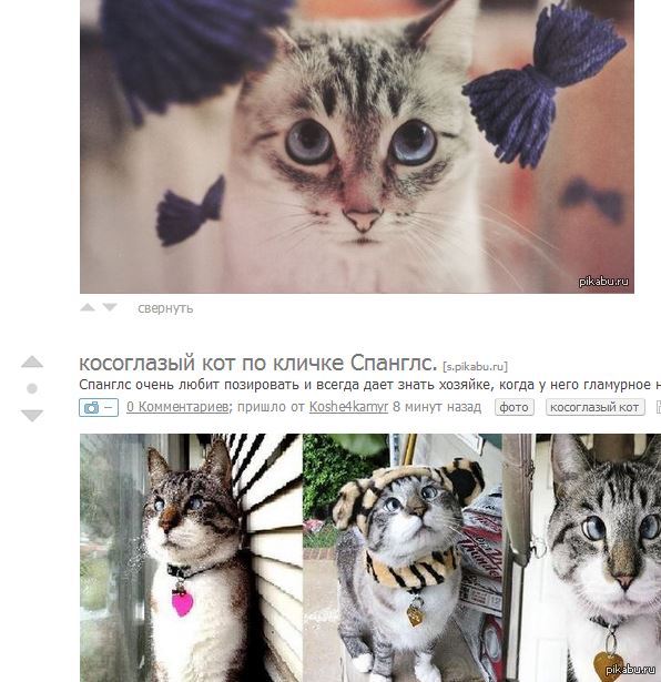 �����������))))