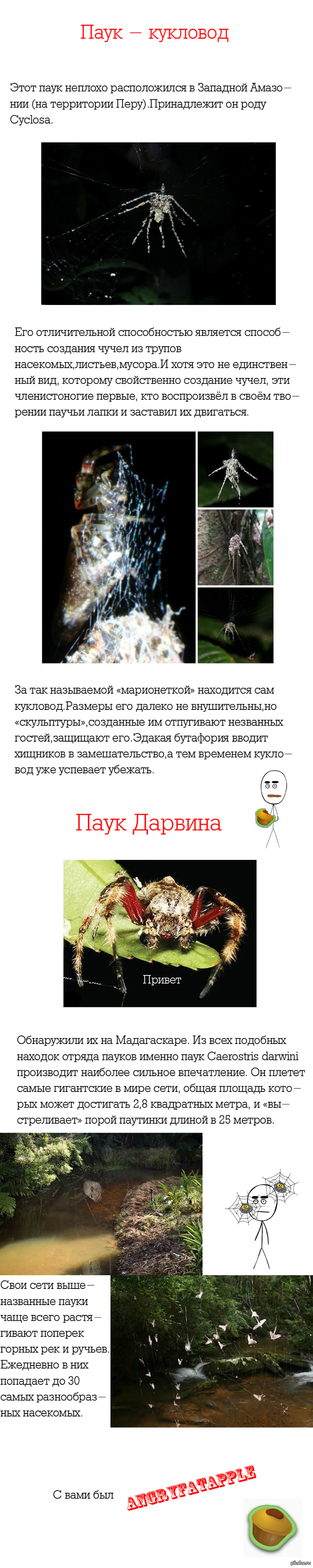  .  2 1 : http://pikabu.ru/story/udivitelnyie_pauchki_3_982167