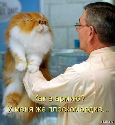 ������ �������....))))